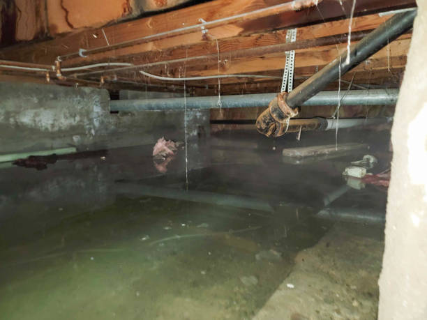 Best Water damage contractors near me  in Villanova, PA