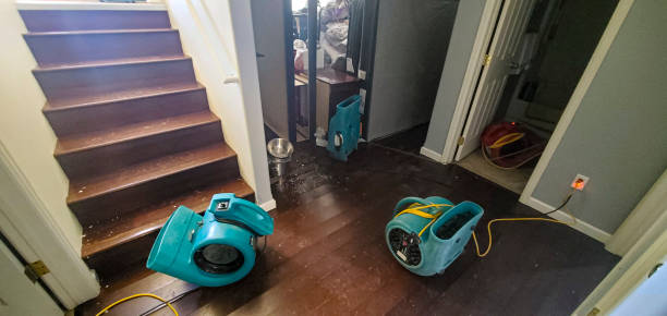 Best Mold removal after water damage  in Villanova, PA