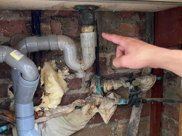 Best Carpet water damage restoration  in Villanova, PA